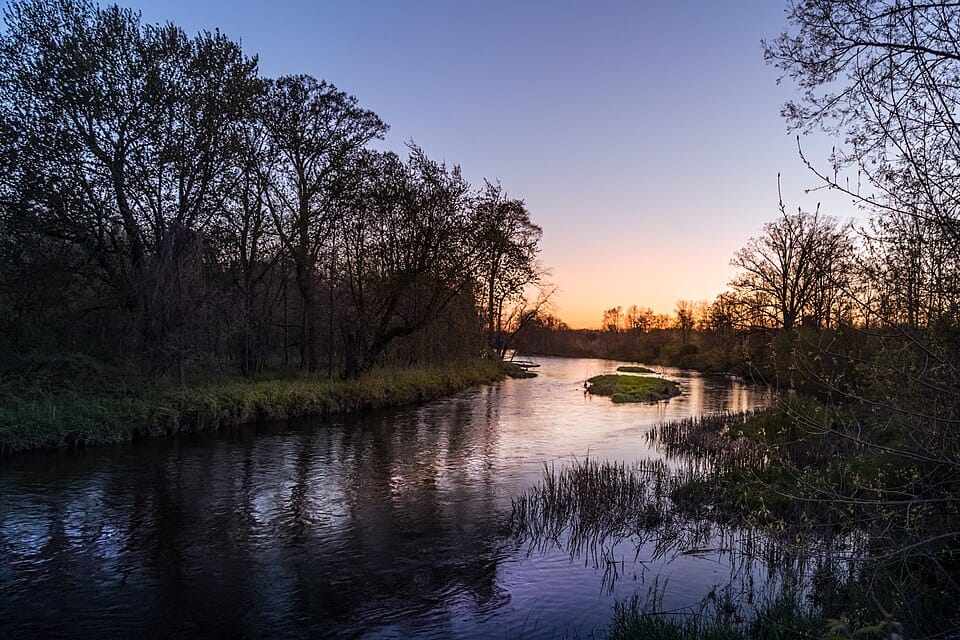 Pine River Park - Photo 1