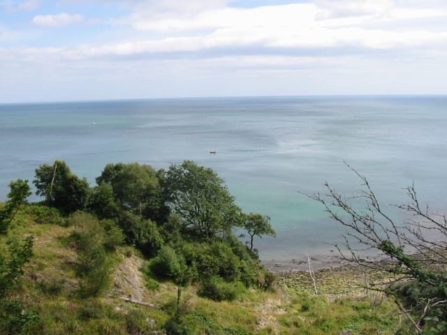 Pinhay Bay - Photo 1