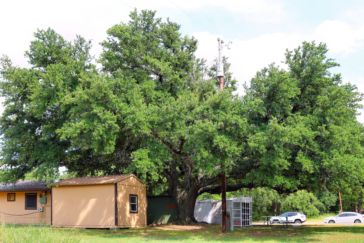 Lake Whitney State Park - Photo 1