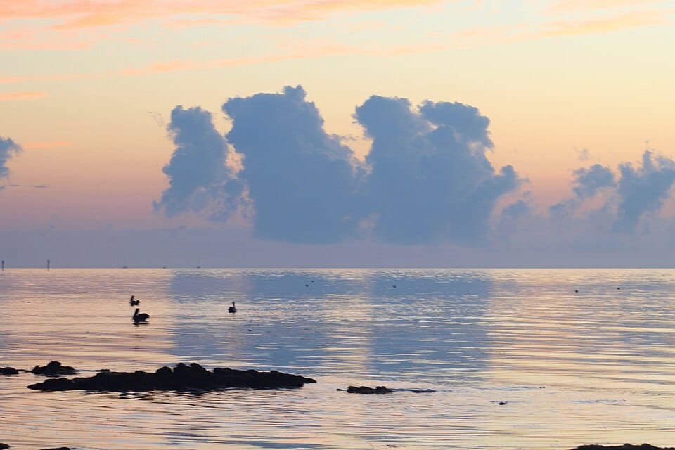 Rest Beach - Photo 1