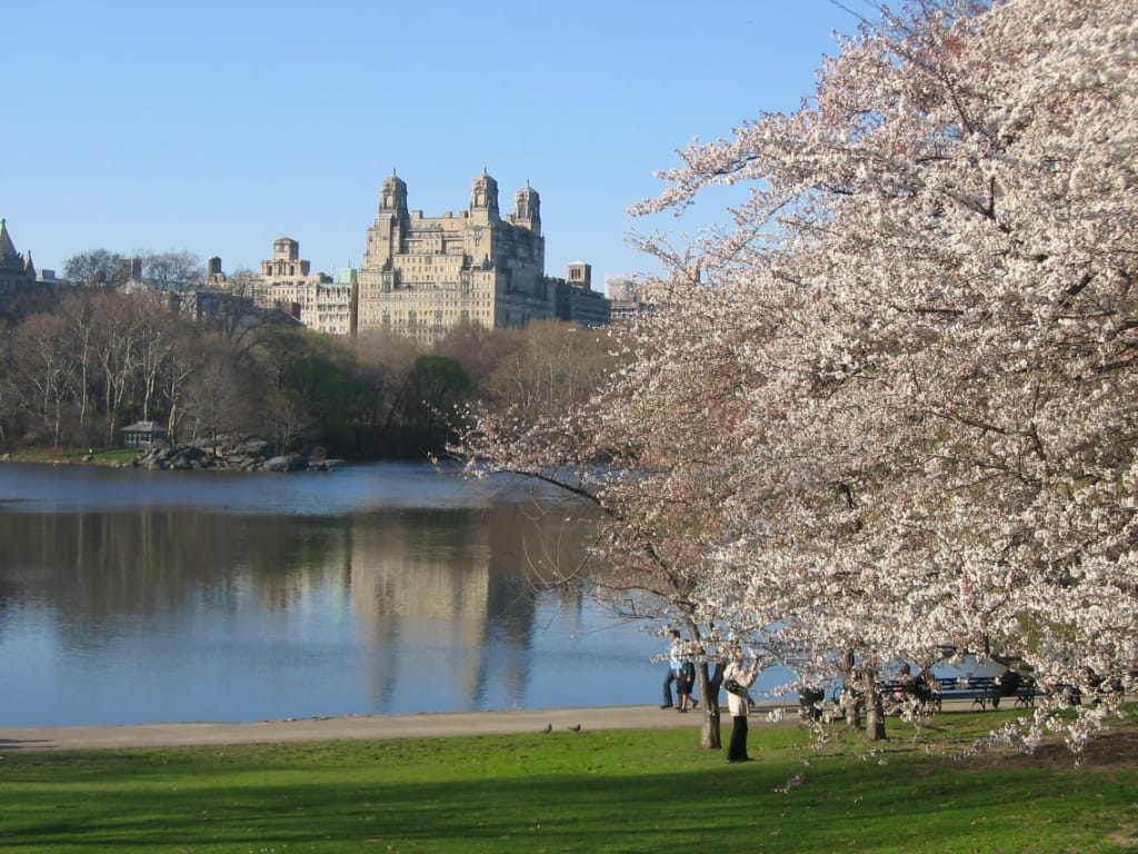 Central Park Lake - Photo 1