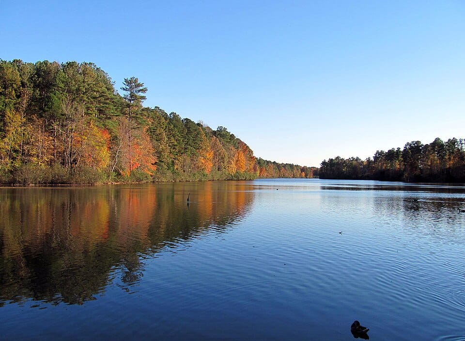 Lake Lynn Loop - Photo 1