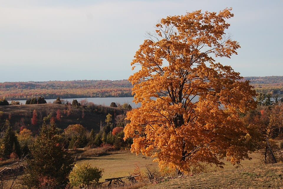 Rice Lake - Photo 1