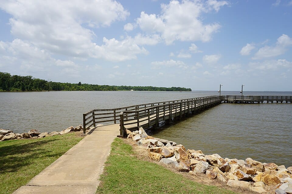 Cooper Lake State Park South Sulphur Unit - Photo 1