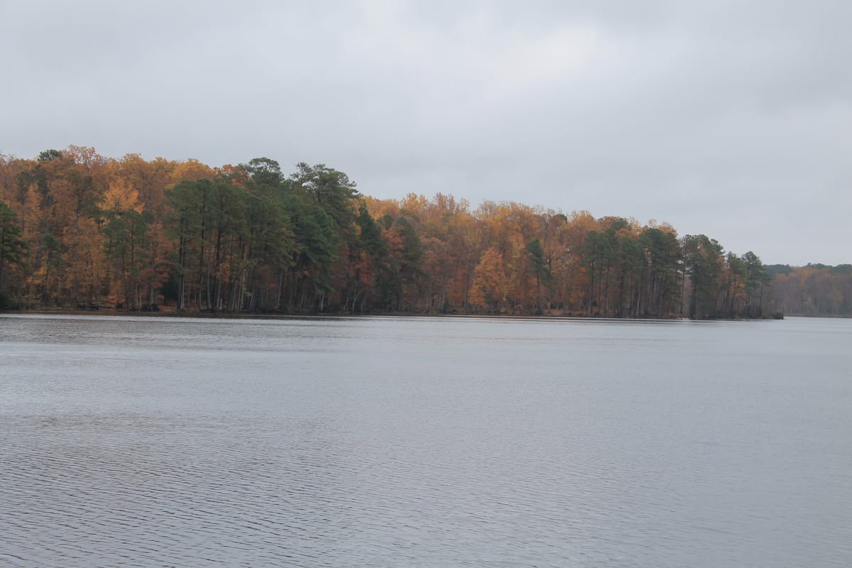 Newport News Park - Photo 1