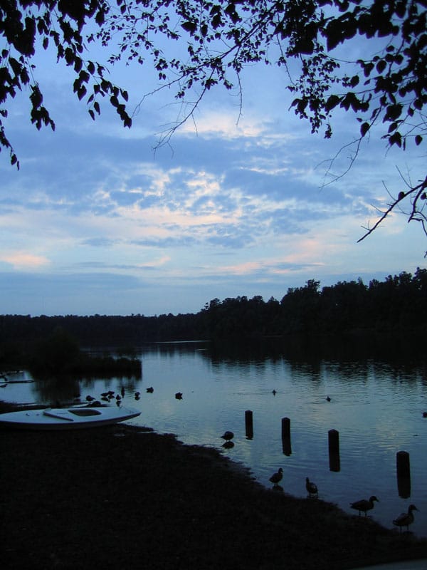 Lake Crabtree - Photo 1