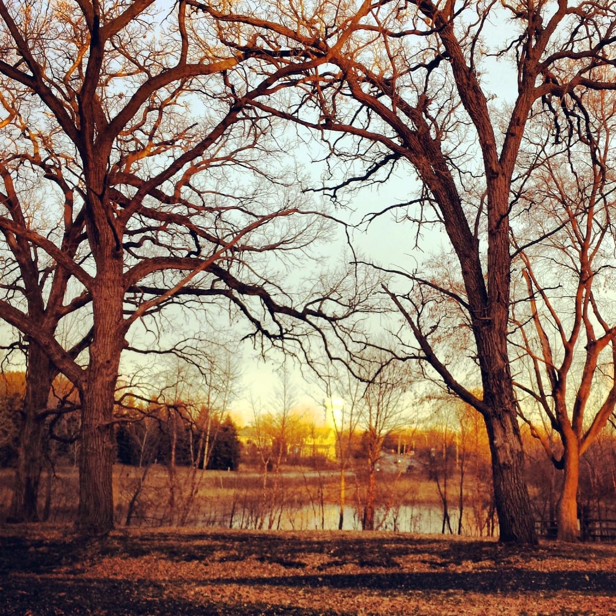 Turtle Lake - Photo 1