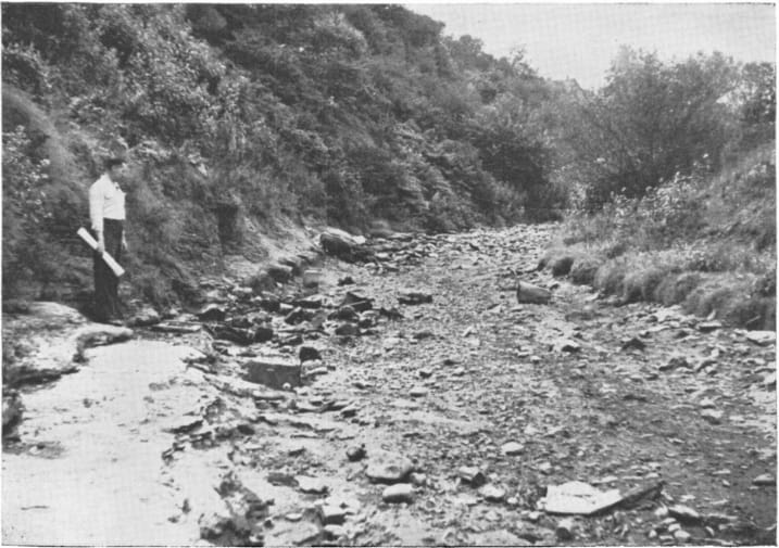 Leggetts Creek - Photo 1