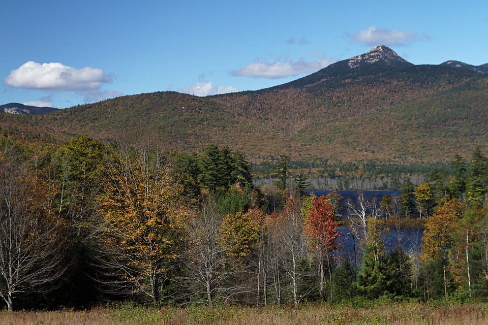 The Grove (Chocorua Lake Conservancy) - Photo 1