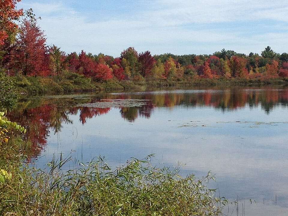 Woodland Lake - Photo 1