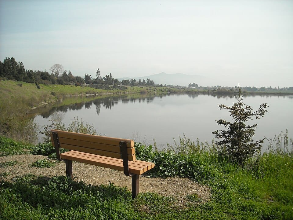Niles Beach - Photo 1