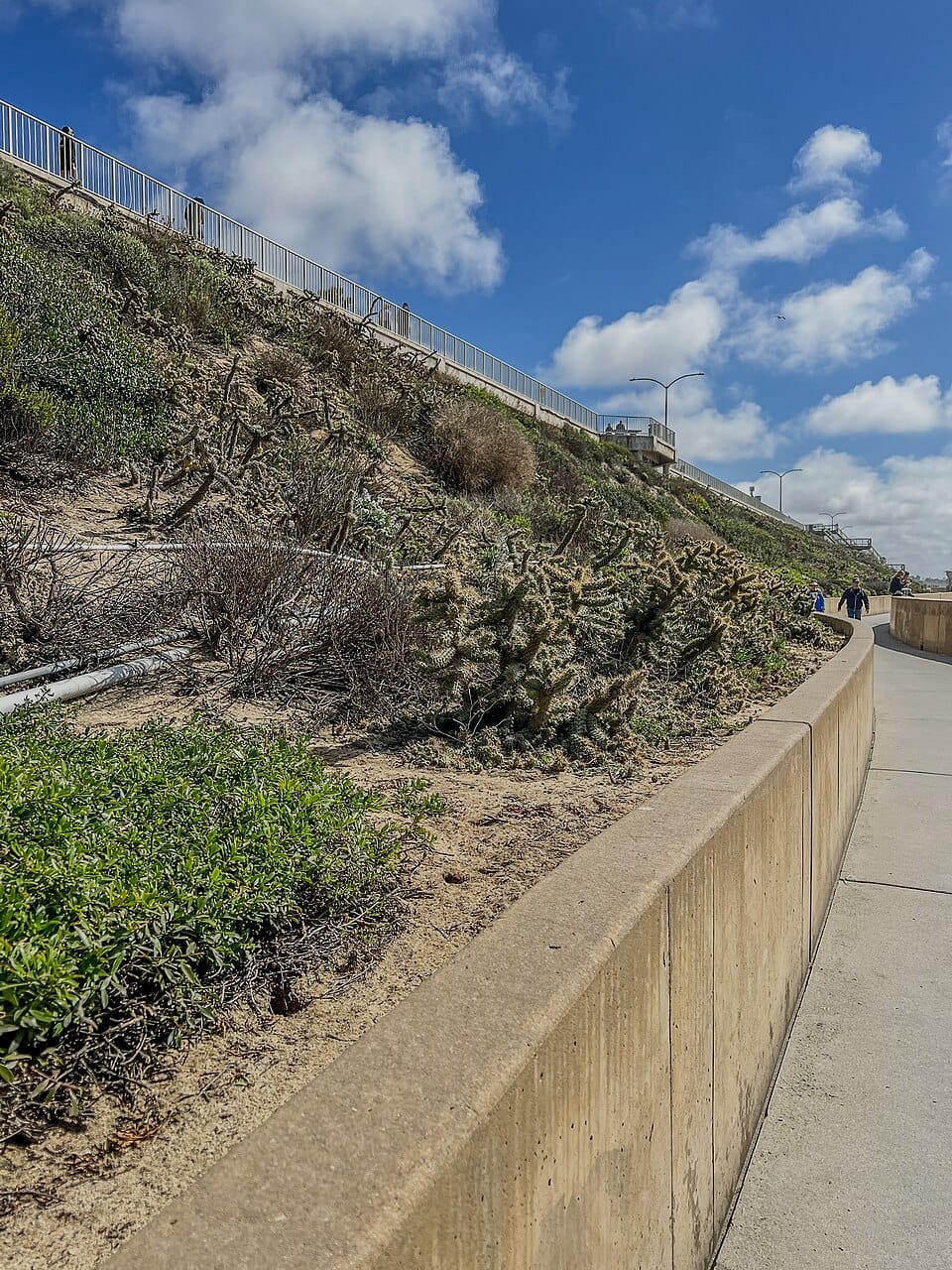 Carlsbad State Beach - Photo 1