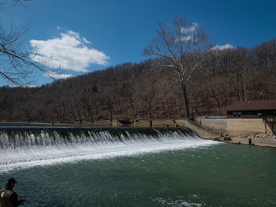 Niangua River - Photo 1