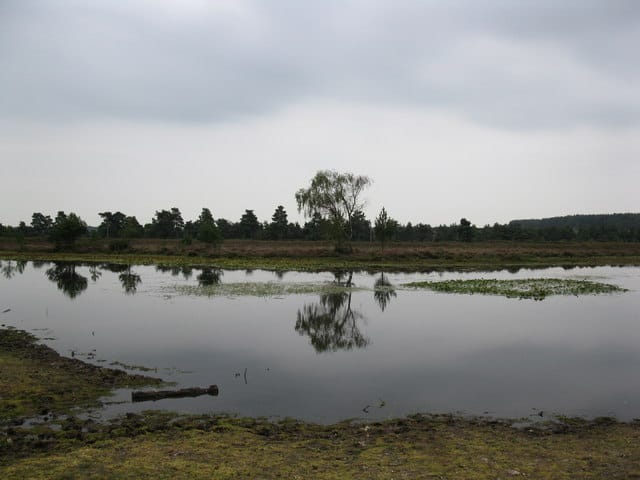 Long Pond - Photo 1