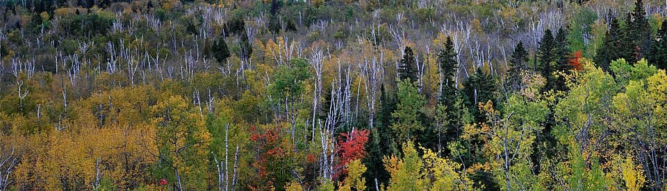 Silver Creek - Photo 1