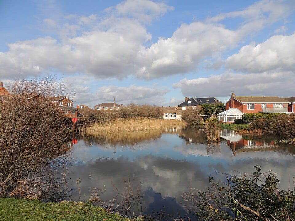 Lee Lake - Photo 1