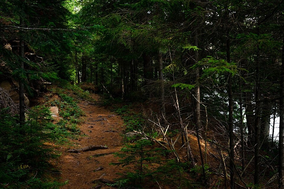 Big Moose Lake - Photo 1