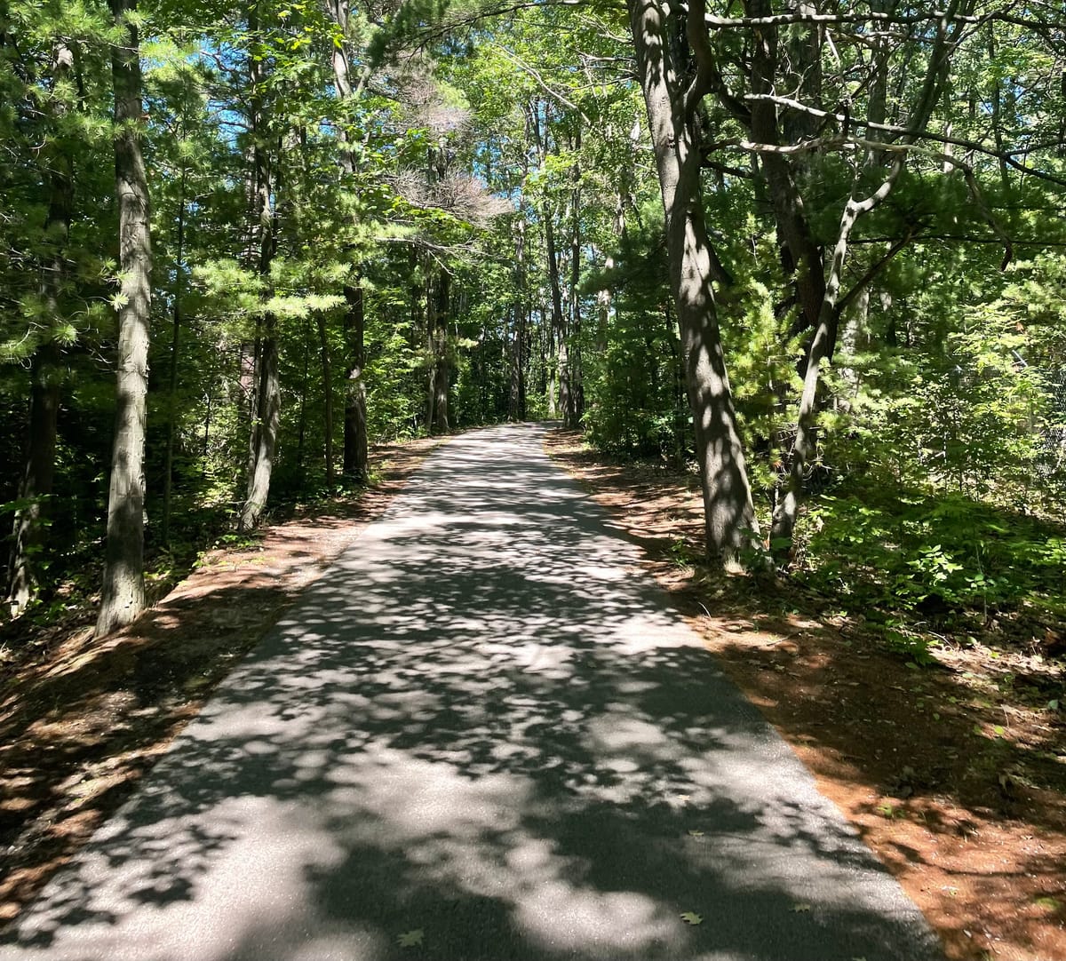 Boardman Lake - Photo 1