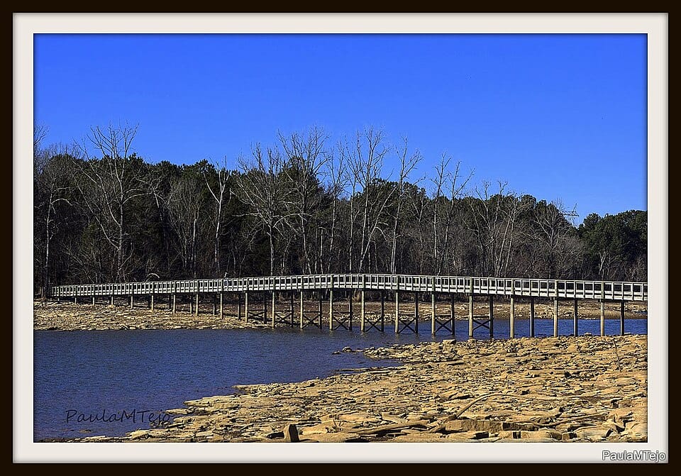 Party Cove - J. Percy Priest Lake - Photo 1
