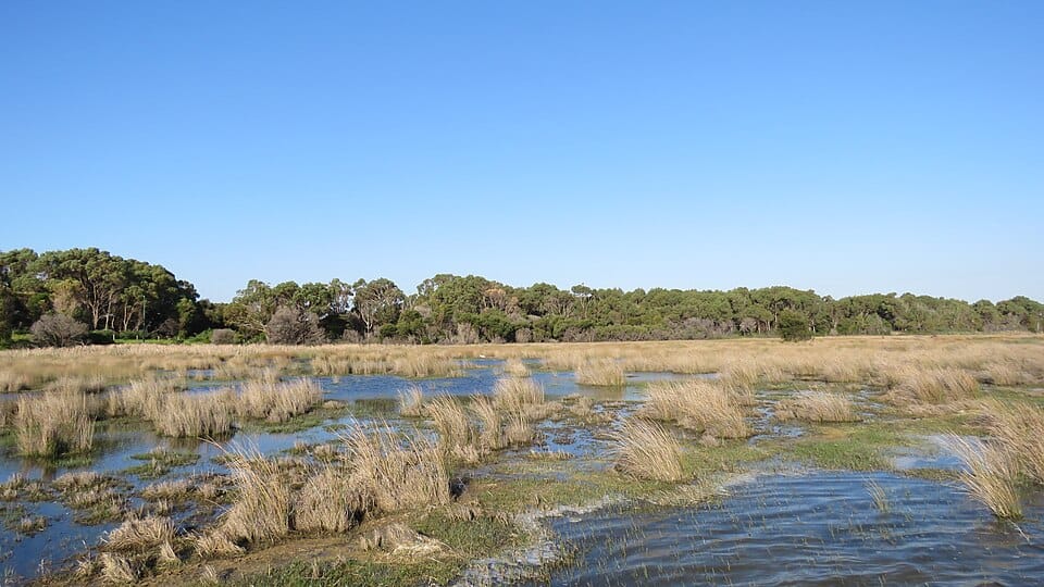 Richmond Lake - Photo 1