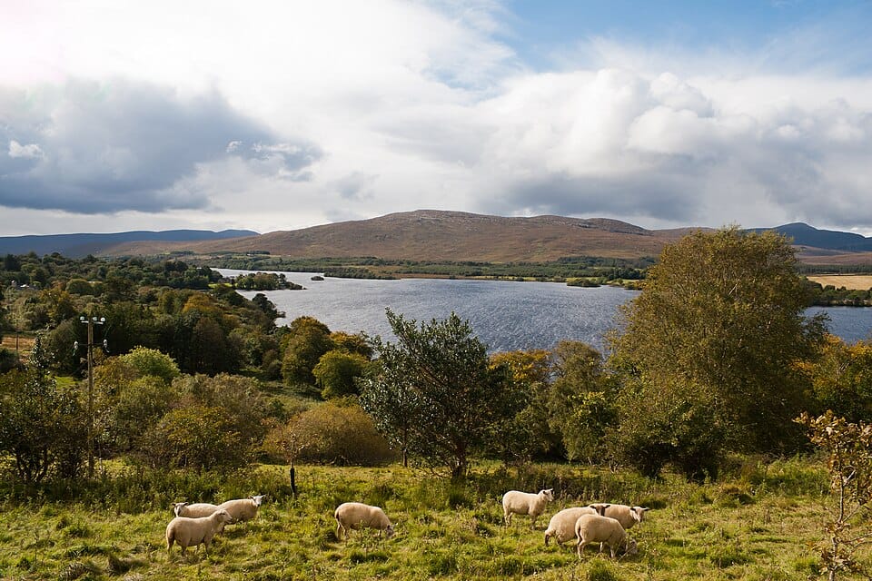 Gartan Lough - Photo 1