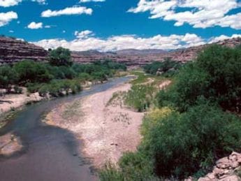 Gila River - Photo 1