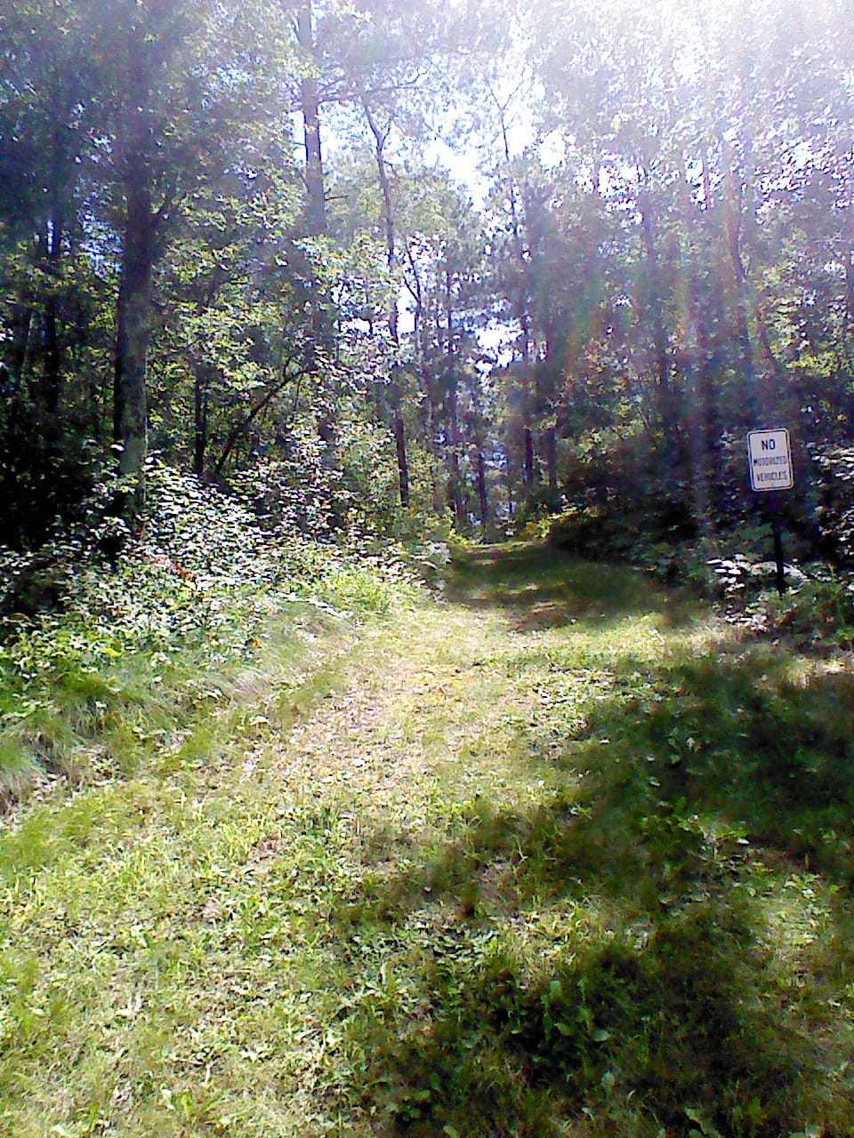 Upper Cullen Lake - Photo 1