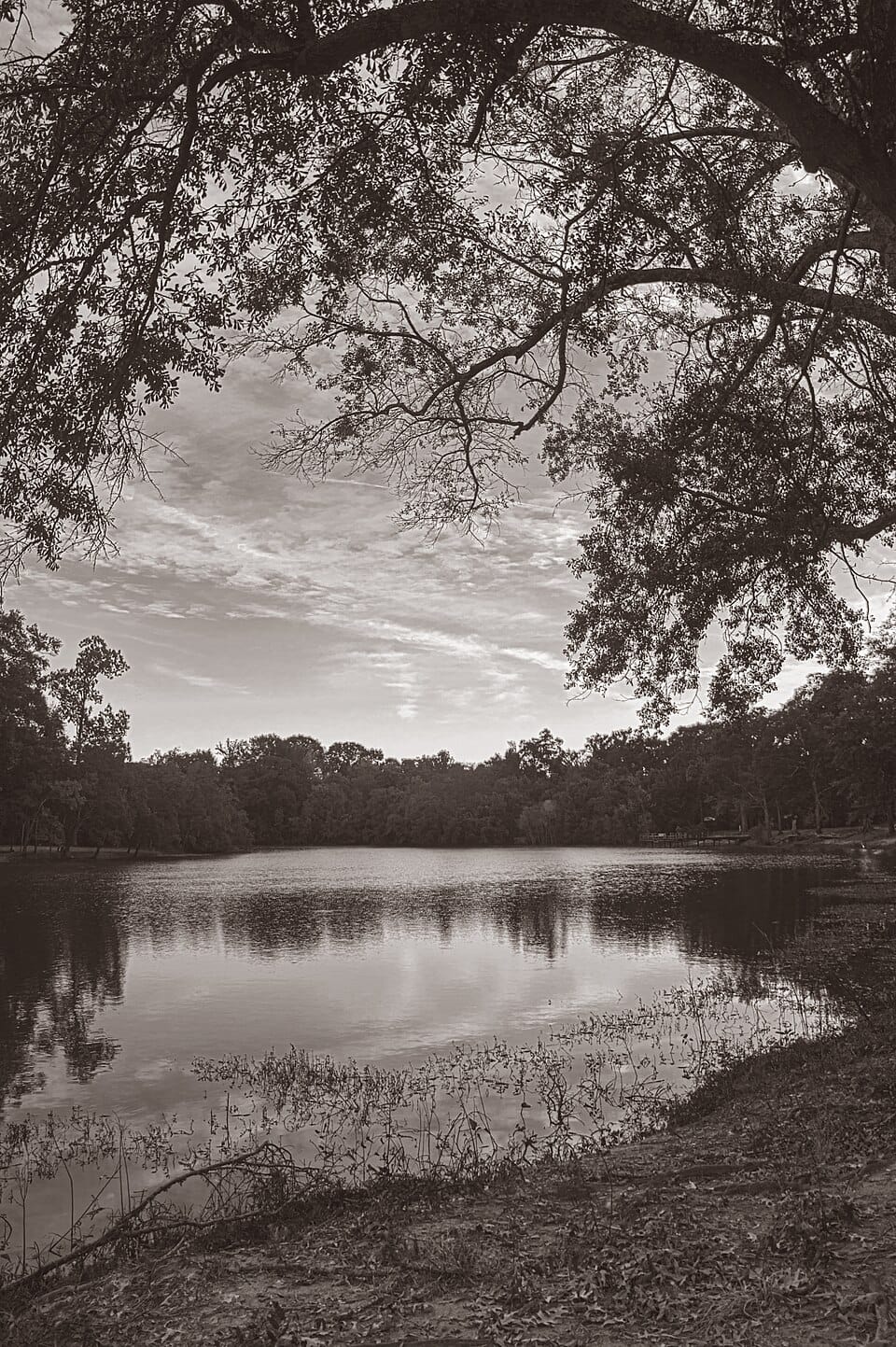 LeFleur's Bluff State Park Mayes Lake - Photo 1