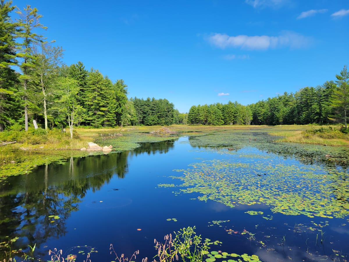 Silver Lake State Park - Photo 1