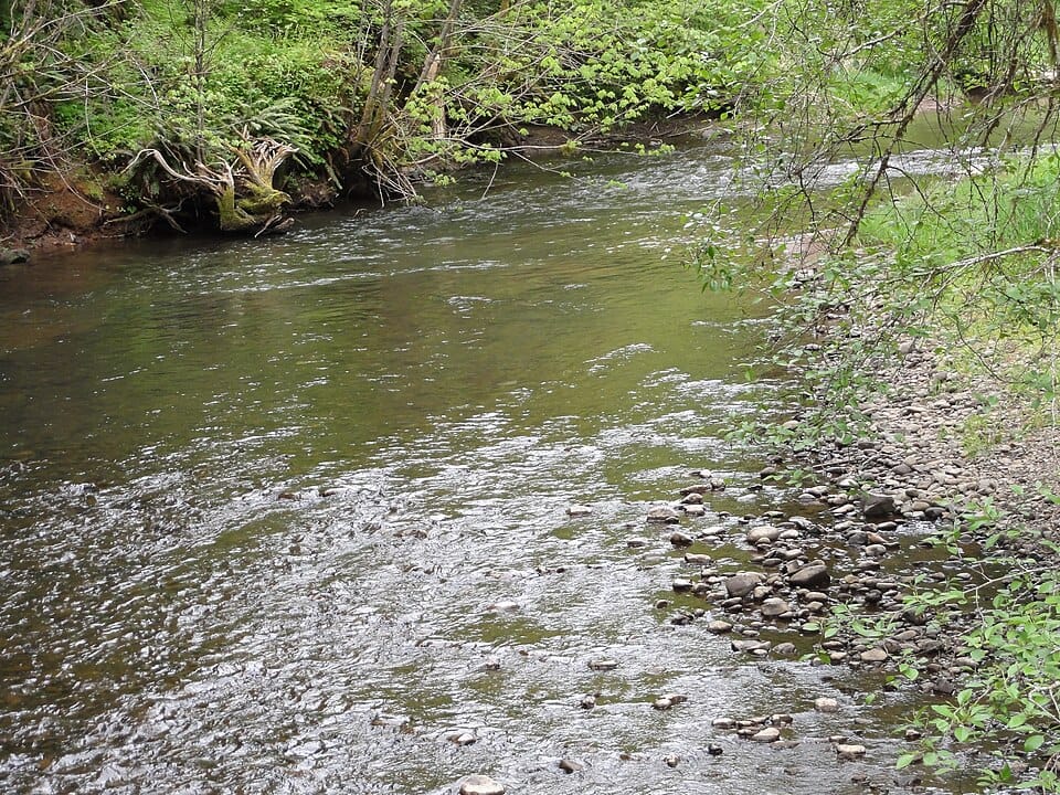 North Yamhill River - Photo 1