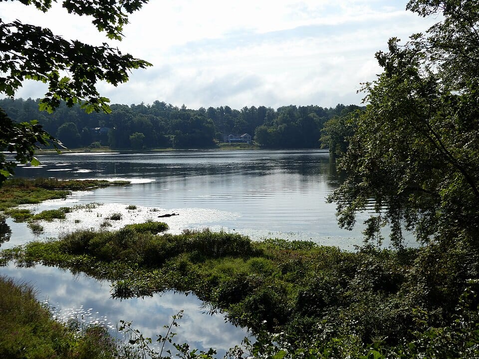 Clayville Pond - Photo 1