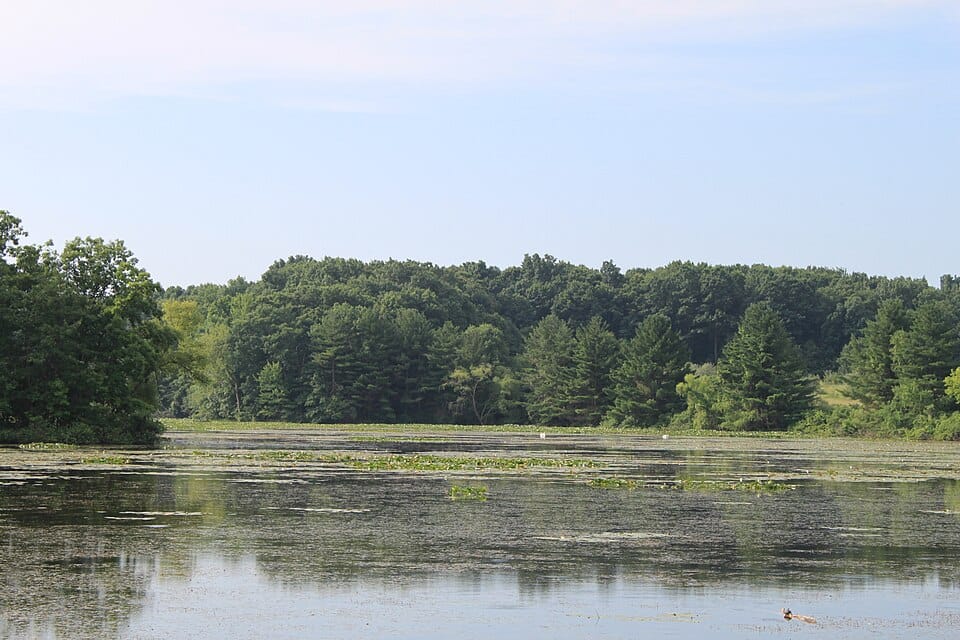 Spring Mill Pond - Photo 1