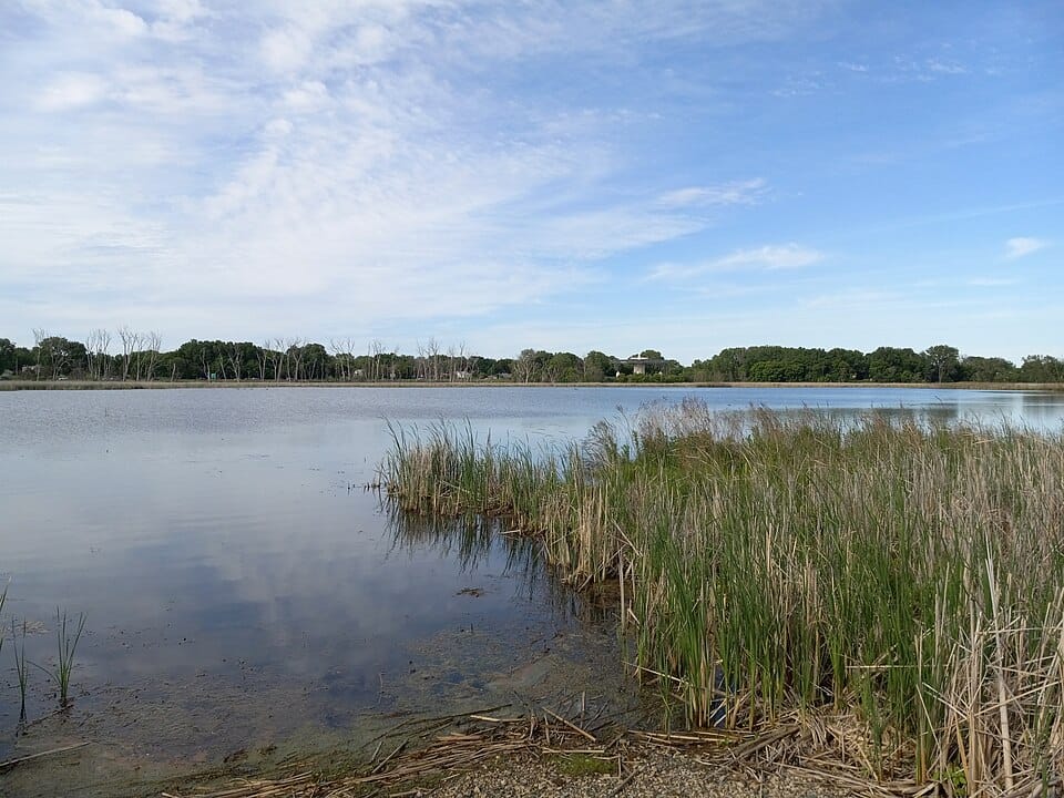 Mother Lake - Photo 1