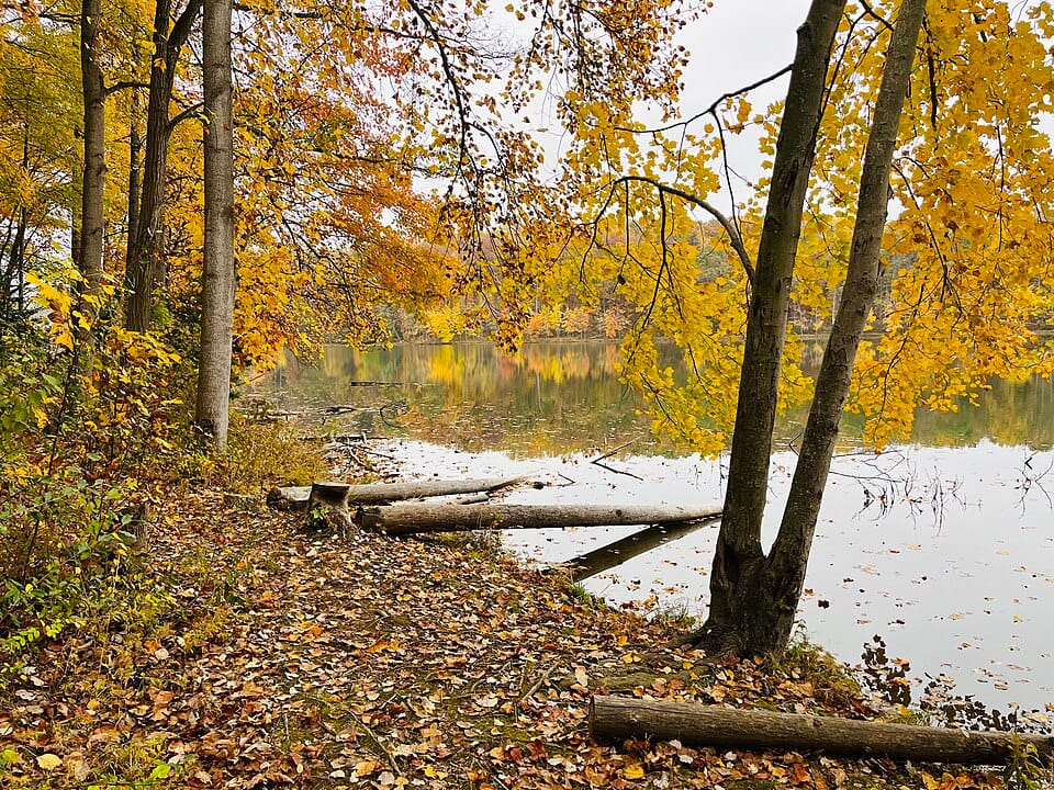 Seneca Creek State Park - Photo 1