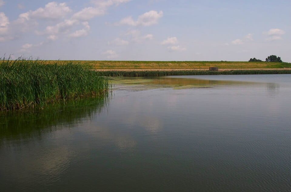 Lake Renwick - Photo 1