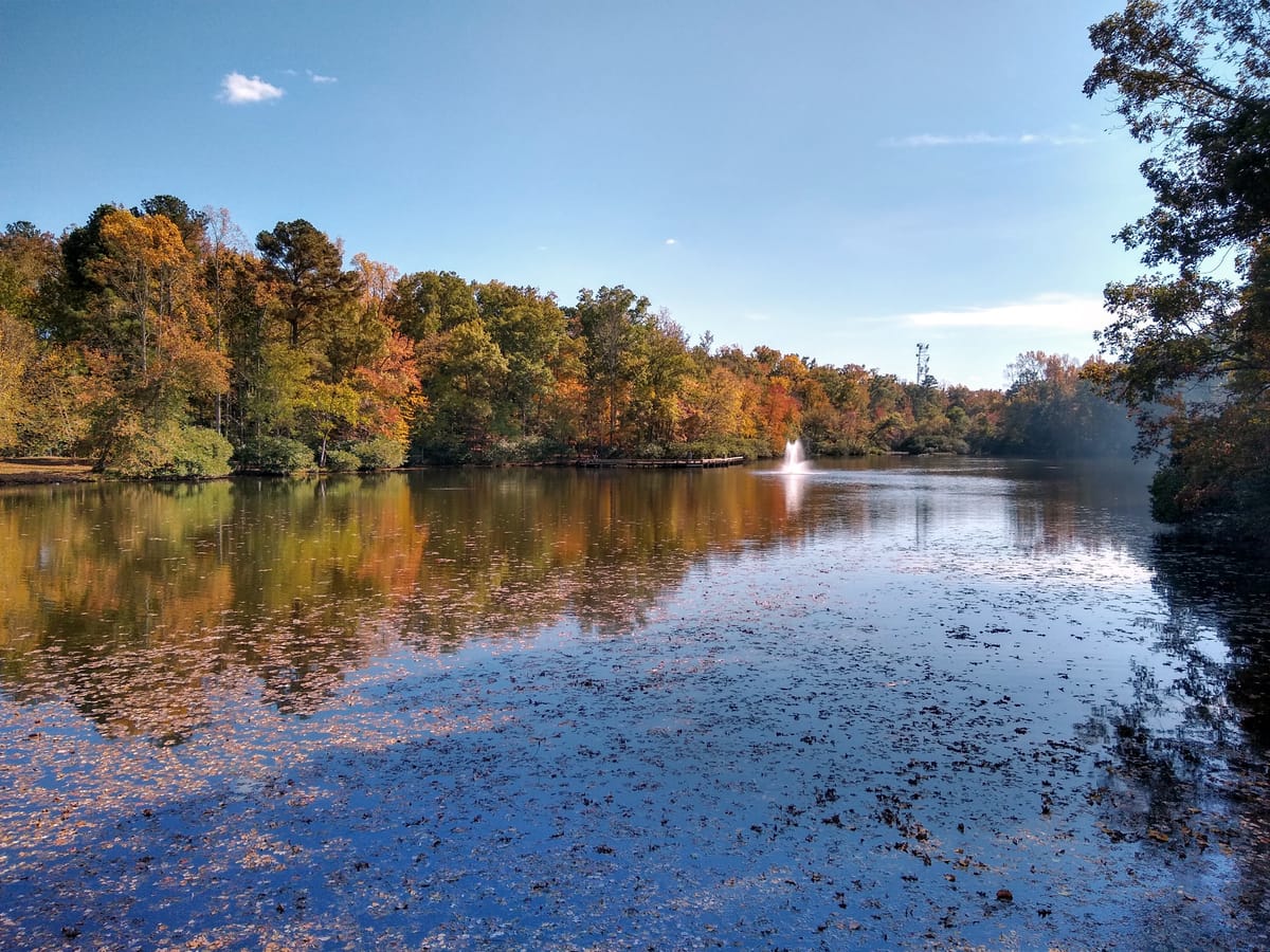 Echo Lake Park - Photo 1