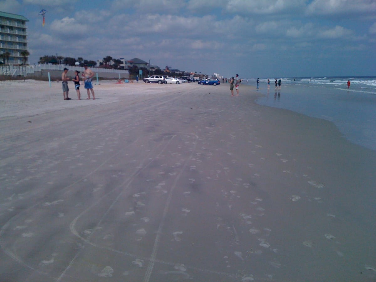 Andy Romano Beachfront Park - Photo 1