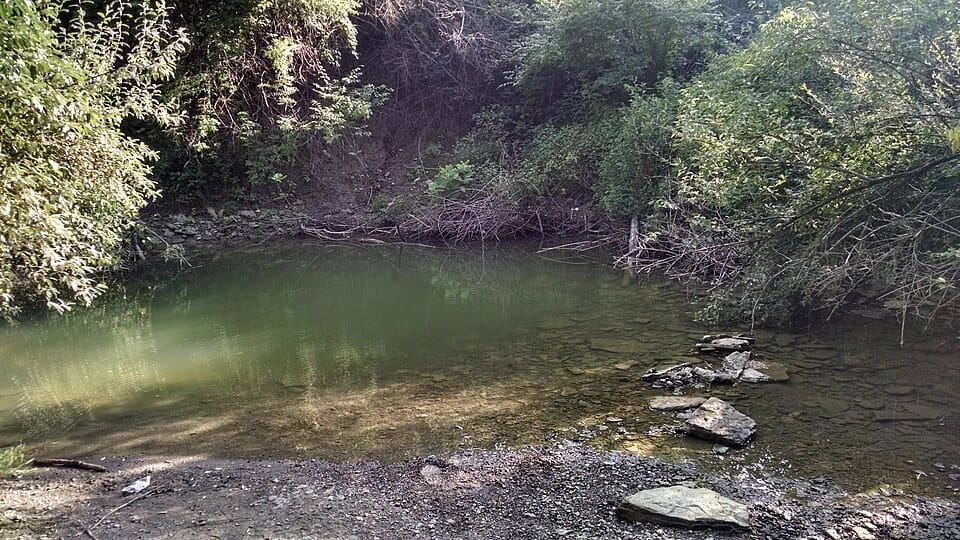 Lake Butler Fishing Lake - Photo 1