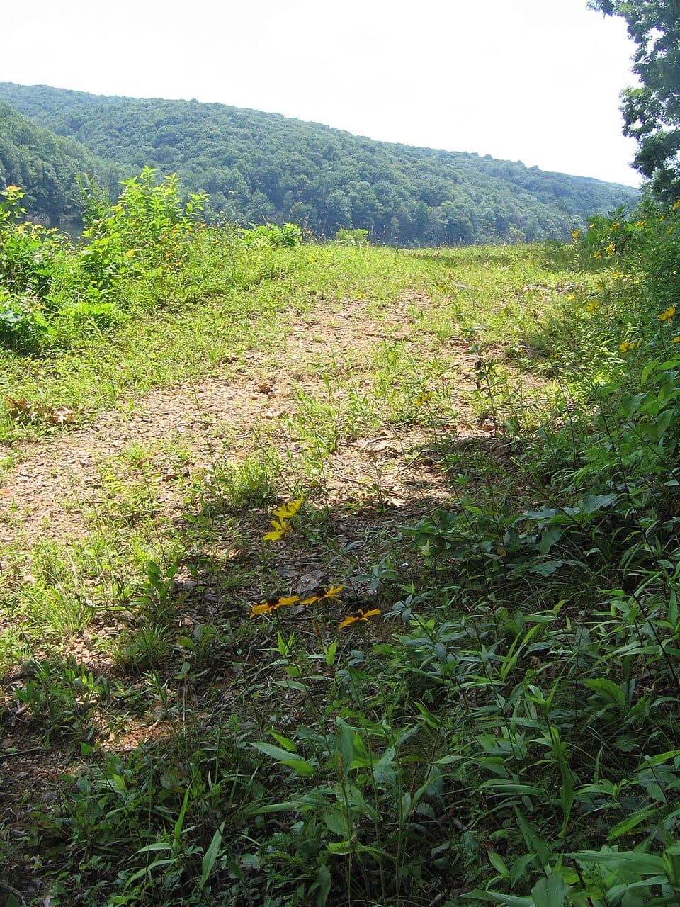 Hidden Valley Lake - Photo 1