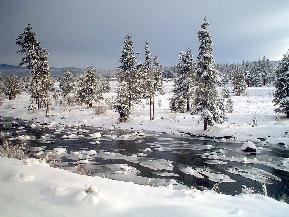 Truckee River - Photo 1