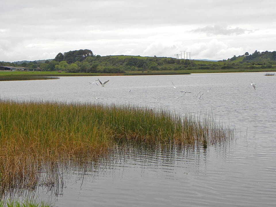 Ballyallia Lough - Photo 1