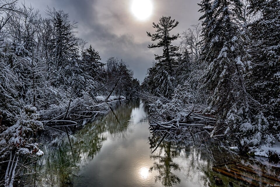 Crystal River - Photo 1