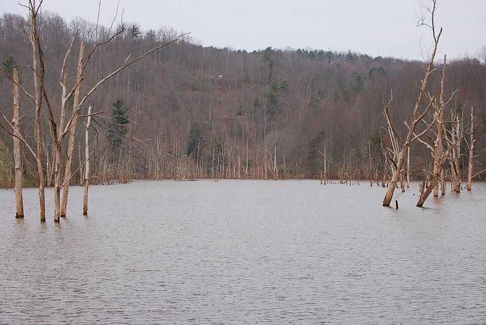 Bonds Creek - Photo 1