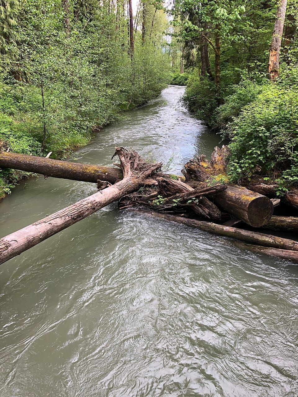 Sultan River