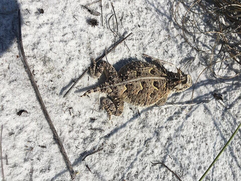 Gulf Islands National Seashore