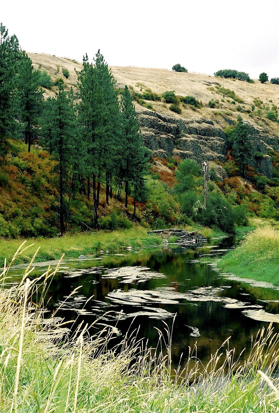 Palouse River