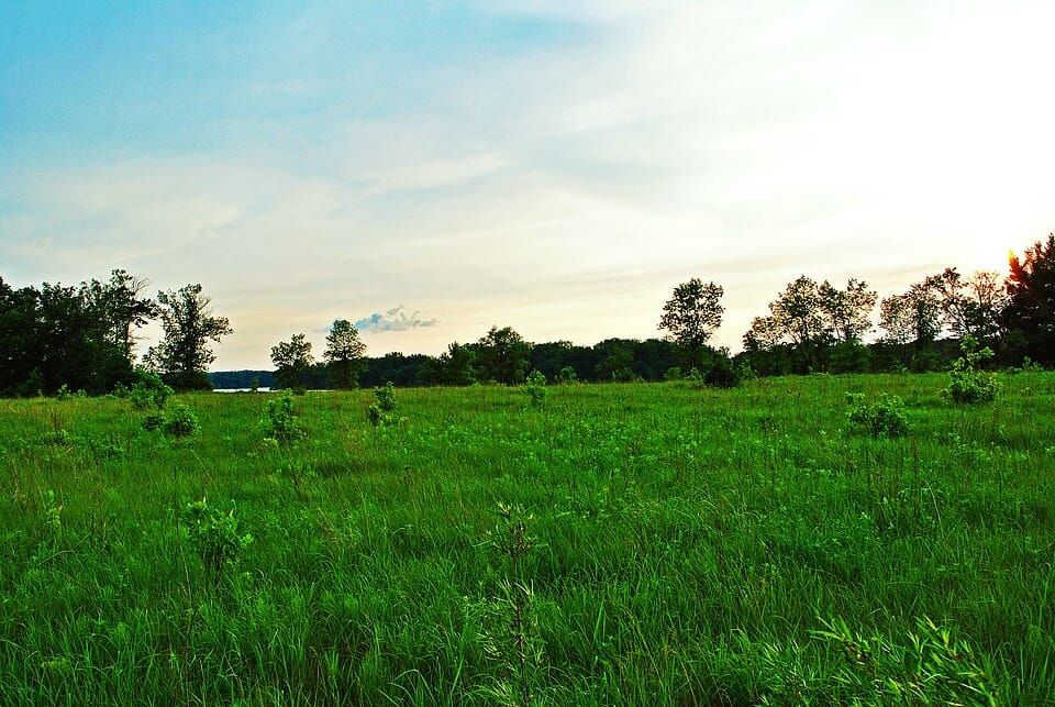 Lake Menomin Park