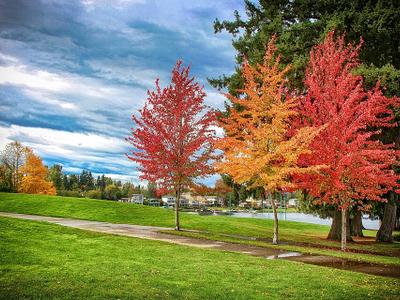 Lake Meridian Park