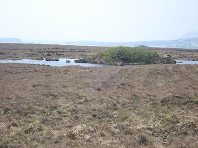 Loughannascaddy