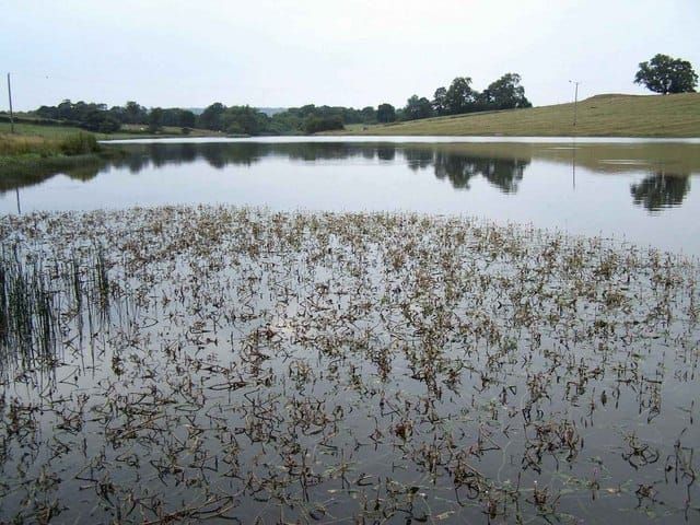 Podmore Pool
